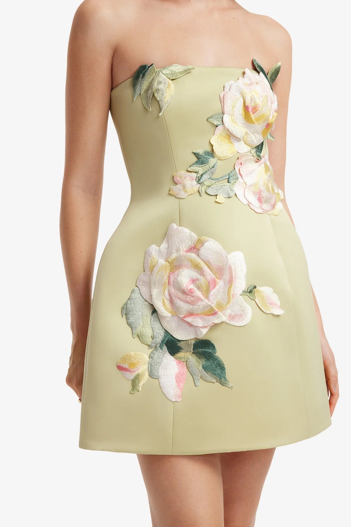 Roselle Embroidered Bustier Mini Dress - Pistachio Rose Print