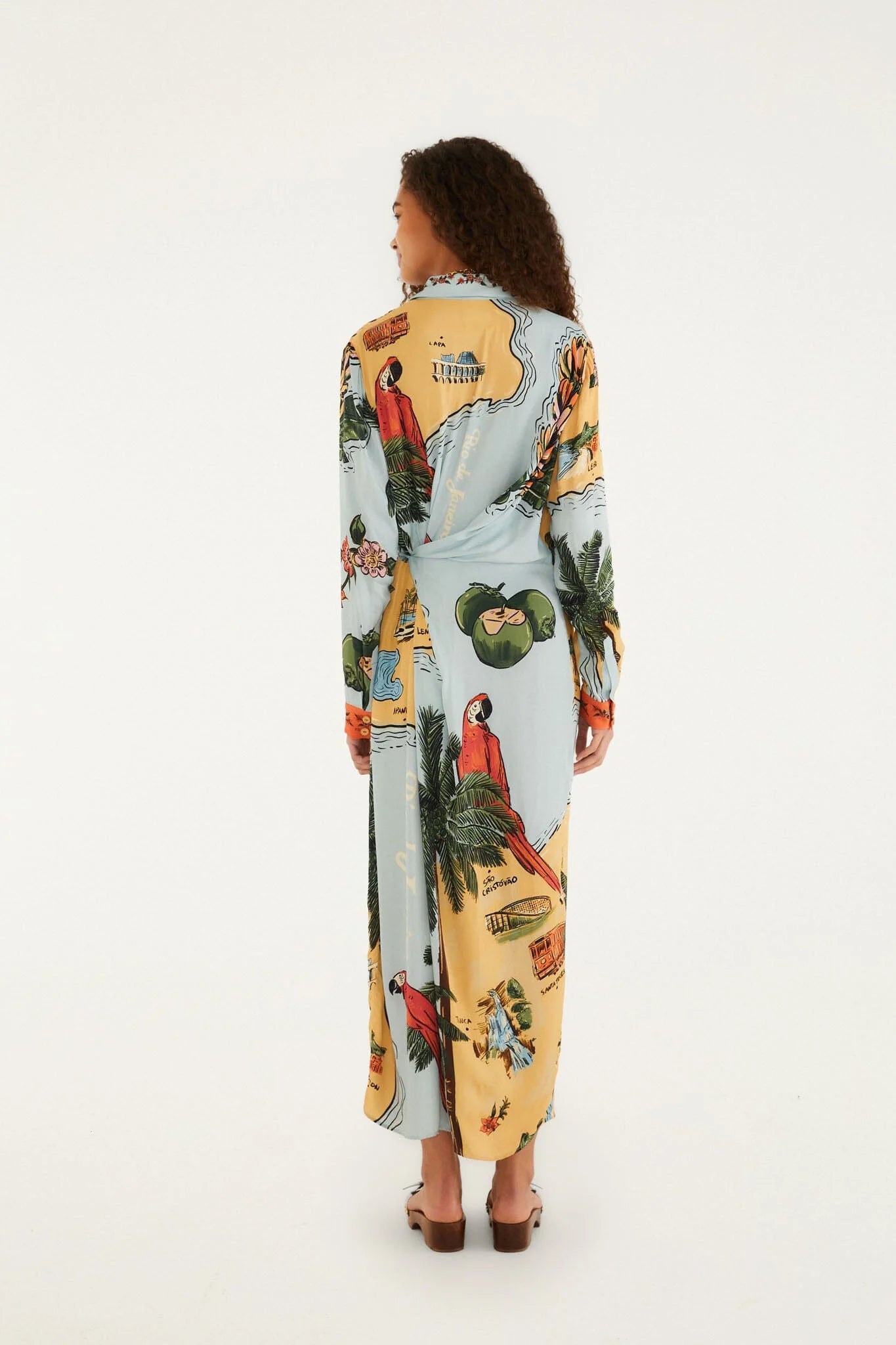 Multicolor Beaches Path Collared Buttoned Maxi Dress