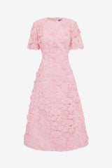 Caroline Lace Short Sleeves Midi Dress - Blush Pink