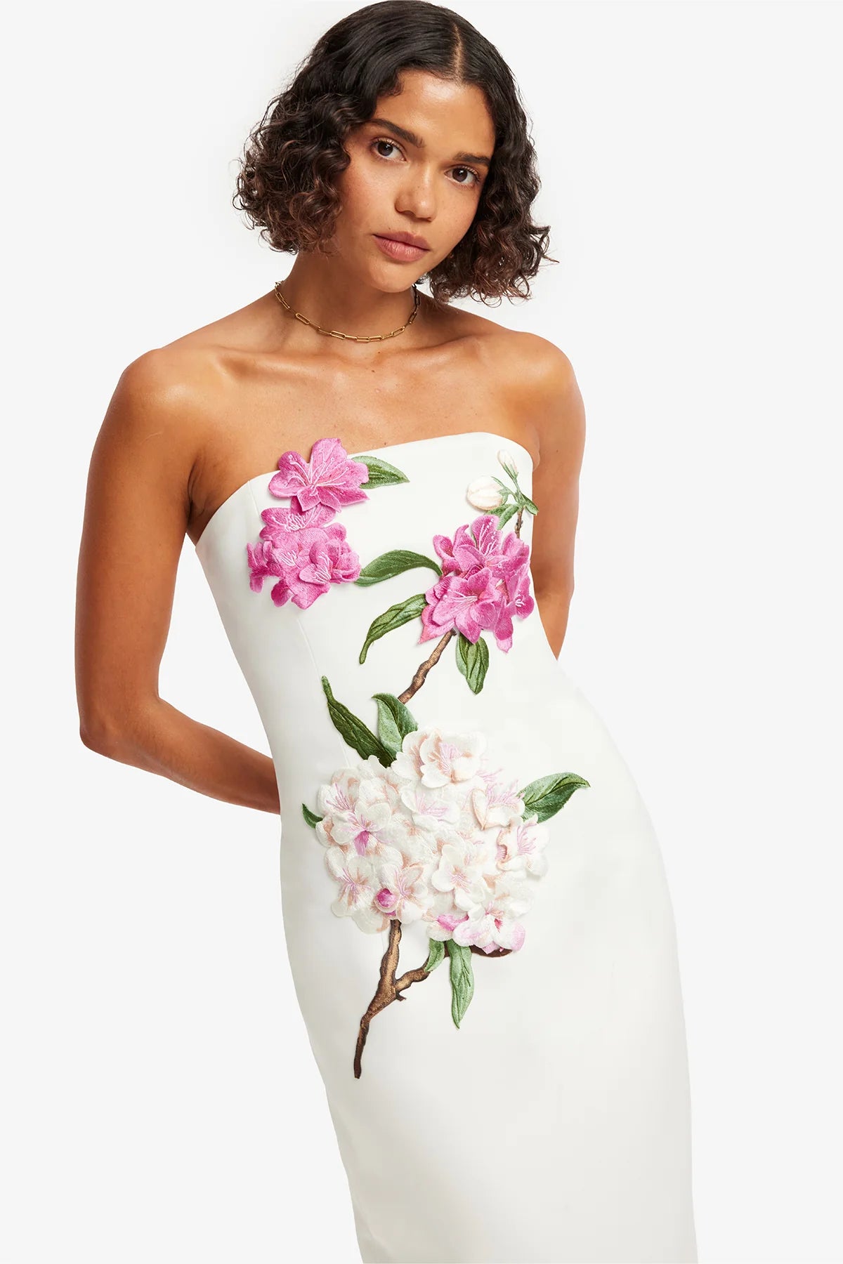 Rayna Appliqué Floral Maxi Dress - Floral Pear Print